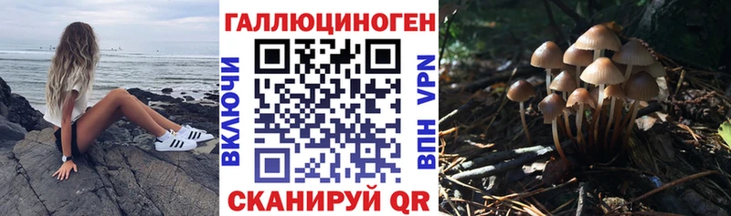 Галлюциногенные грибы Magic Shrooms  Купить где  Амурск 